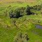 Learning Day: Wildlife Highways - Connecting Habitats event image