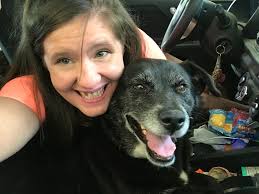 Tricities Lost & Found Pets (TN/ VA)