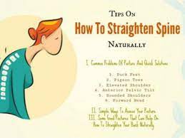 To bring into a line or alignment; Tips On How To Straighten Spine Naturally Backfit Health Spine