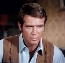 Introduction to The Big Valley fan group