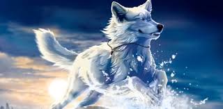 Alpha Female Cute Anime Wolves How Would You Look Like As An Anime Wolf Proprofs Quiz look like as an anime wolf
