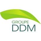 Groupe DDM