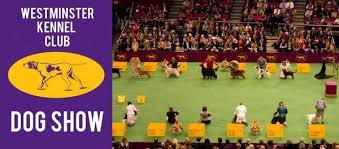 In its early days, the event took place in gilmore's garden. Westminster Kennel Club Dog Show 2021 Pier 94 Manhattan 15 February To 17 February