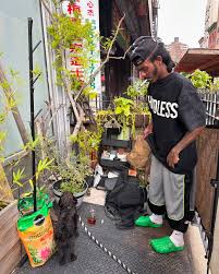 Image result for tbnspan style=