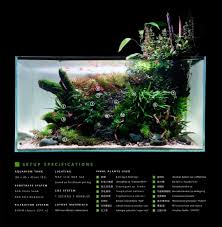 Aqua Design By Harry Photo By Man Tai Martin Aquarium Tank 90 X 45 X 45cm 183l Substrate System Ada Plata Sand A Aquascape Aquarium Nature Aquarium Aquascape