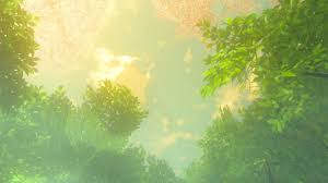 This Screenshot Was Actually Accidental But It Looked So Great That I Had To Keep It This Game Looks Gorgeous During The Master Sword Cutscene In Korok Forest