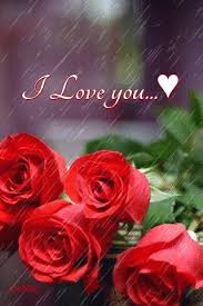 50 beautiful flower meanings that will surprise you. I Love You I Love You Pictures Love You Gif Love You Images