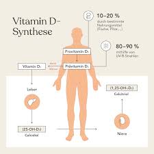 Vitamin d receptors are also located within our cardiovascular system, lungs, pancreas, skeletal muscle, skin, and reproductive organs. Vitamin D Mangel Anzeichen Erkennen Mangel Beheben Liebscher Bracht