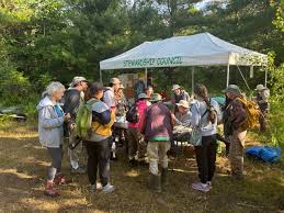 Image result for Sorghastrum fuscescens