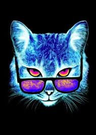 Pin On Perros Y Gatos