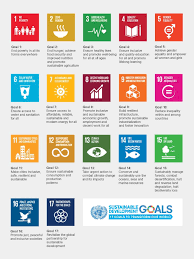 Un Sustainable Development Goals In 2020 Un Sustainable Development Goals Sustainable Development Goals Sustainable Development