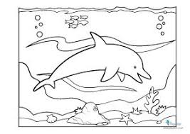 Dibujos para pintar según el nivel de los niños. Dibujos Para Pintar Y Colorear Faciles Mas De 100 Pequeocio