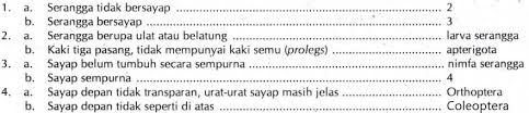 Identifikasi mencakup dua kegiatan, yaitu klasifikasi dan tata nama. Buatlah Contoh Sederhana Suatu Kunci Determinasi H