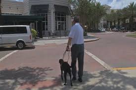 Jail Time Now Possible If You Have A Fake Service Animal Service Animal Service Dogs Animals