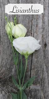 Wedding flower arrangements go beyond the basic centerpieces and bouquets. White Lisianthus White Flowers Types Of Flowers White Wedding Flowers