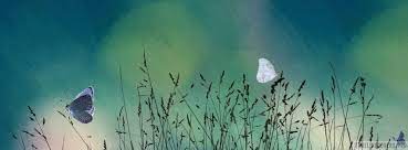British designs, inspired by sophie's love of nature and the country life. Artistic Butterfly Graphics Facebook Cover