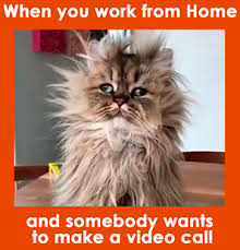 Check spelling or type a new query. Work From Home Meme Hilarious Memes To Make You Laugh Chanty