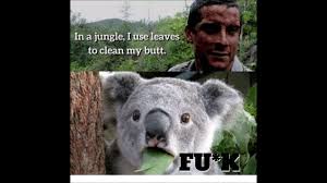 Make bear grylls memes or upload your own images to make custom memes. Bear Grylls Memes Youtube