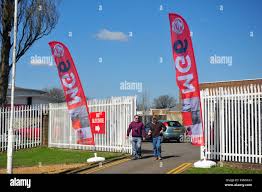 Image result for Ethulia vernonioides