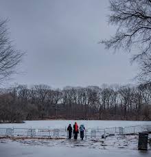 Prospect Park's trees are getting some much needed TLC! 🌳 Brooklyn's  Backyard is home to 30,000 trees that help keep our air clean, provide  shade + cool our earth. From inoculating our