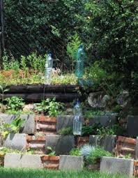 Image result for plašič krtků z pet lahve