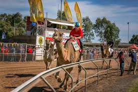 Alice the camel is a traditional nursery rhyme and children's song. Camel Cup 2019 Rad Season