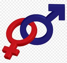 Check spelling or type a new query. Male And Female Symbol Transparent Gender And Development Sign Hd Png Download 1461x1303 158745 Pngfind