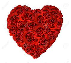 Decorative photo effect to upload an image and put it inside a heart with another made of colorful flowers, perfect effect to dedicate to someone and with your photo for free. Anniversary Or Valentine Heart Made Out Of Roses On White Background Stock Photo Picture And Royalty Free Image Image 6864455
