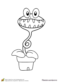 Le dessin etape par etape. Coloriage Toute Petite Plante Carnivore