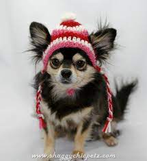 Dog Hat Crocheted Candy Cane Christmas Red White And Pink Wool Xsmall Small Medium Crochet Dog Hat Christmas Dog Hat Dog Hat