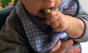 Mit dieser übersicht bist du bestens informiert, wenn du wissen willst, ab wann dein baby für die meisten nahrungsmittel bereit ist. Tipps Zum Ersten Fingerfood Fur Babys