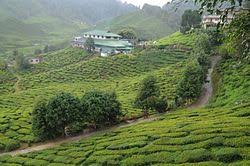 Maybe you would like to learn more about one of these? Cameron Valley Wikipedia Bahasa Melayu Ensiklopedia Bebas