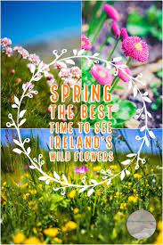 Before selecting posies for a vernal garden, learn which ones are the earliest bloomers. Pin On Travel Inspiration