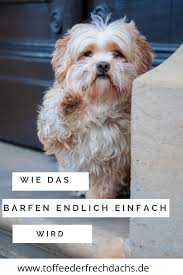 Eat Pray Love Des Dramas Dritter Teil Werbung Toffee Der Frechdachs In 2020 Hundeernahrung Hunde Ernahrung Hundegesundheit