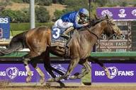 Cody's Wish named Horse of the Year - UPI.com