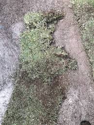 Sandy soils are ideal for growing crops, fruits and vegetables like watermelon, peaches, peanuts, etc. Menai Sand Soil New Illawarra Road Lucas Heights Nsw 2234 Australia