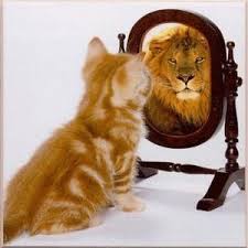 Image result for look in the mirror