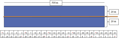 Image result for Rhabdophyllum affine