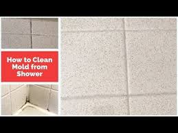 How To Remove Black Mold In Shower Grout Lines The Mold Insider Remove Mold From Shower Cleaning Mold Cleaning Shower Tiles