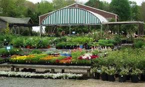 We are a professional plants and tree nursery with export all year. Conley S Garden Center Landscaping Boothbay Harbor Maine Home Landscaping Garden Design Garden Nursery
