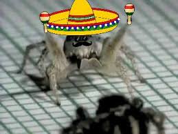 Black diamond pest control offers exceptional pest control services to lexington and the surrounding area. Black Diamond Pest Control Of Soky Home Facebook