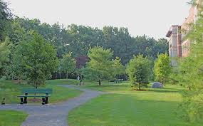 Located on the banks of the charles river and a stone's throw from neighboring newton, wellesley, and natick, charles river landing boasts an ideal location with easy access to the scenic riverfront. Charles River Landing Shadley Associates