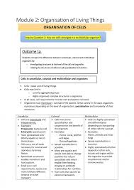 Mitochondria carries out cellular respiration and provides. Module 2 Organisation Of Living Things Biology Year 11 Hsc Thinkswap