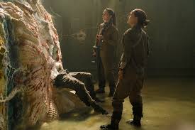 Annihilation is a 2018 science fiction horror film written and directed by alex garland, based on the 2014 novel of the same name by jeff vandermeer. Binge Blog Shimmer In The Light Arts And Entertainment Your Observer