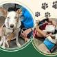 Paws to Read event image