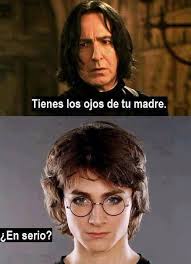 Resultado de imagen de harry potter memes en español