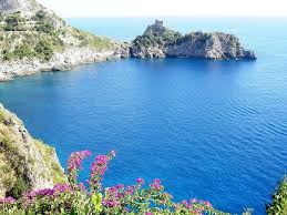 Send flowers and gifts to italy, same day delivery, cheap prices and best quality flowers delivery service! Flowers Island Italy Amalfi Free Photo On Pixabay