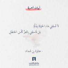 لا ت سق ن ي م اء الح ي اة ب ذ ل ة ب ل ف اسق ن ي ب الع ز ك أس الح نظ ل عنترة بن شداد Funny Arabic Quotes Words Quotes Beautiful Arabic Words