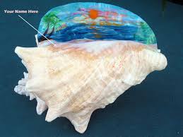 We did not find results for: Painted Conch Shells Art By Janis