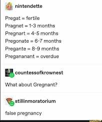 Pregananant memes. Best Collection of funny Pregananant pictures on iFunny  Brazil
